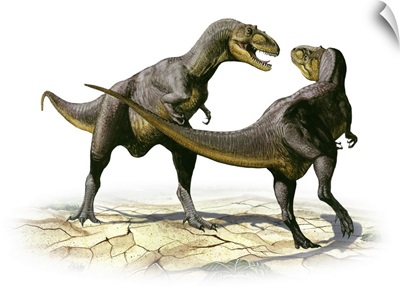 Alectrosaurus olseni, a prehistoric dinosaur