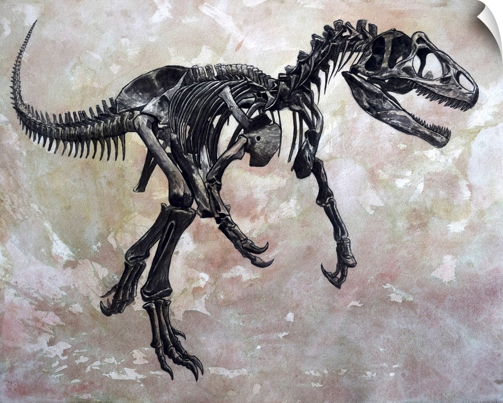 Allosaurus dinosaur skeleton on textured background.