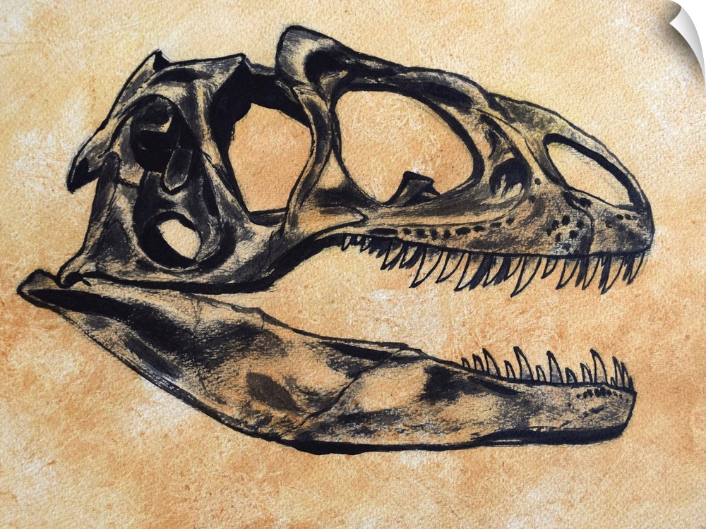 Allosaurus dinosaur skull on textured background.