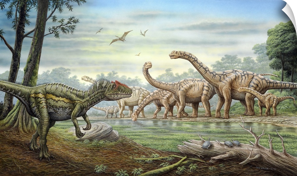 An Allosaurus stalking a herd of Camarasaurus dinosaurs grazing at the water's edge.