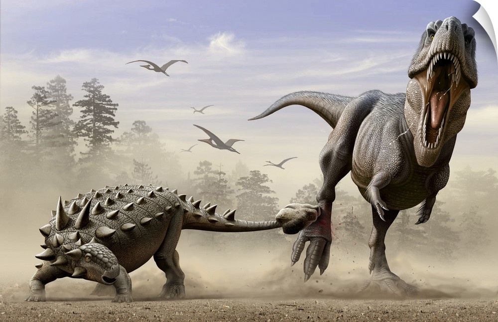 An Euoplocephalus hits T-Rex's foot by its mace like tail in self-defense.