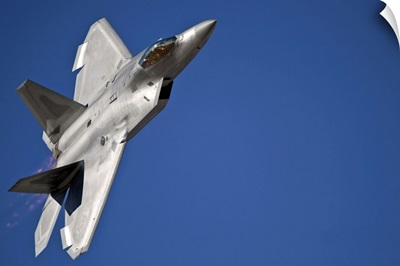An F 22 Raptor aircraft performs during Aviation Nation 2010