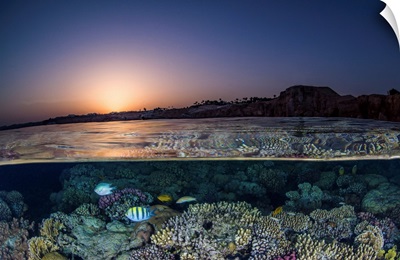 An Over Under Of The Sunset In The Red Sea And A Coral Reef