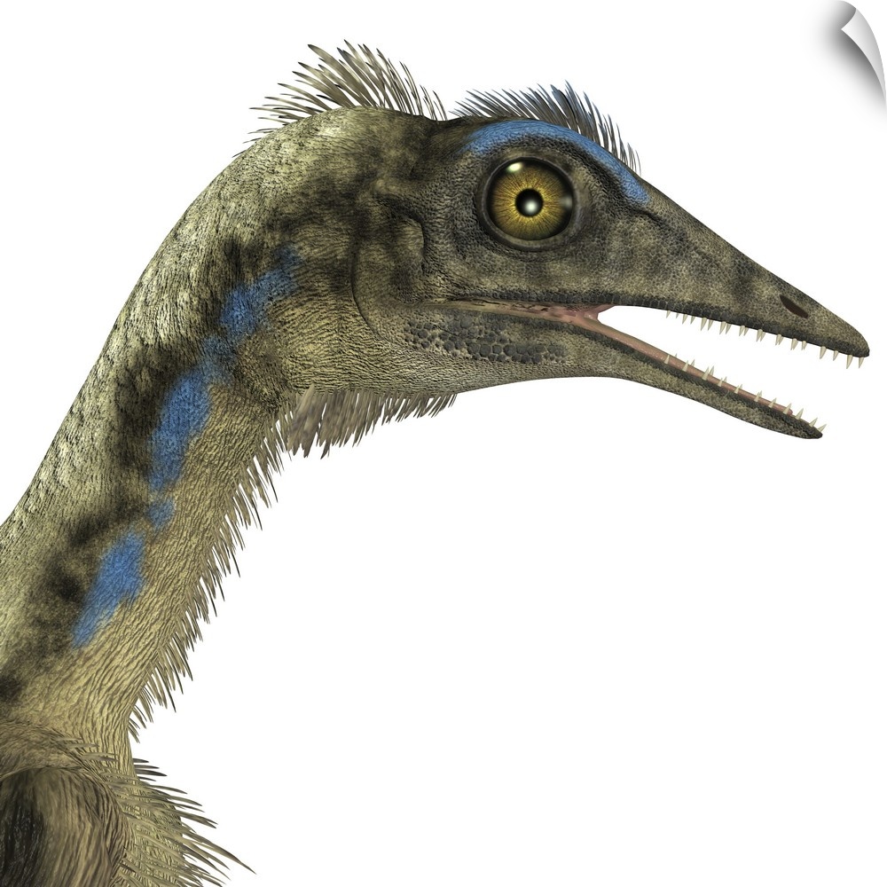 Archaeopteryx is a carnivorous bird that lived during the Jurassic period of Germany.