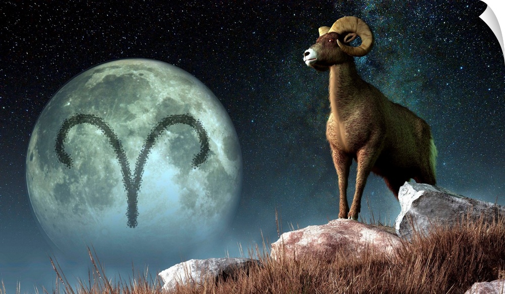 Aries is the first astrological sign of the Zodiac.  Its symbol is the ram.