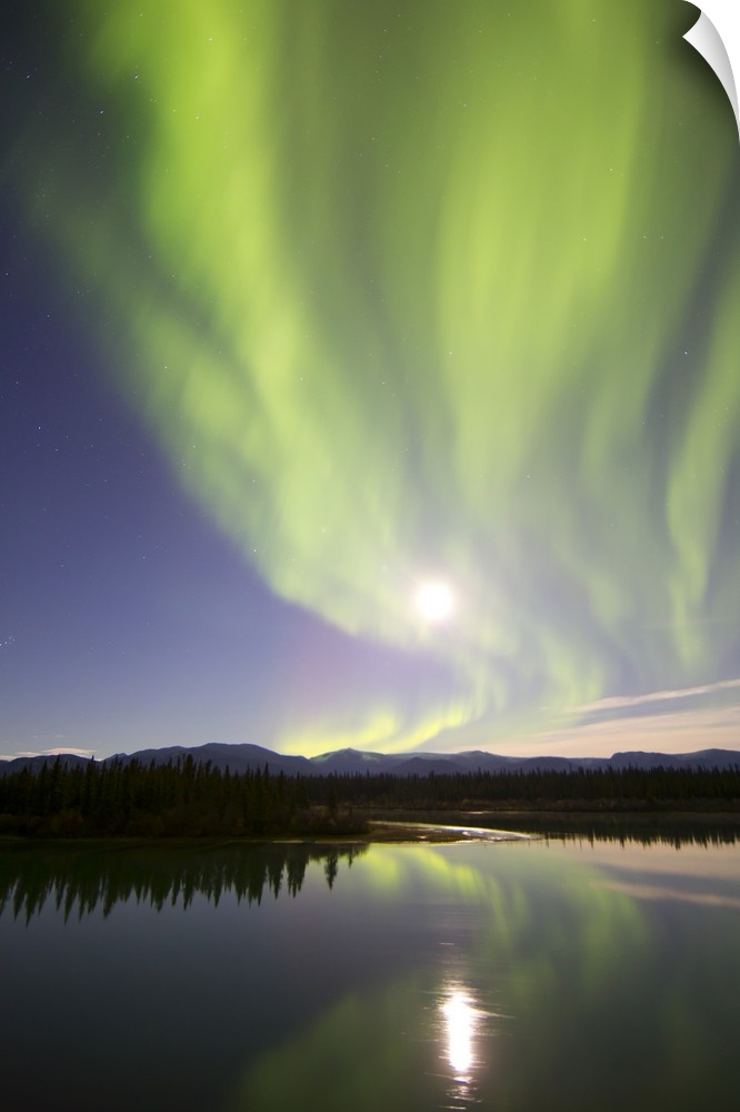 Aurora borealis and Full Moon over the Yukon River, Whitehorse, Yukon, Canada.