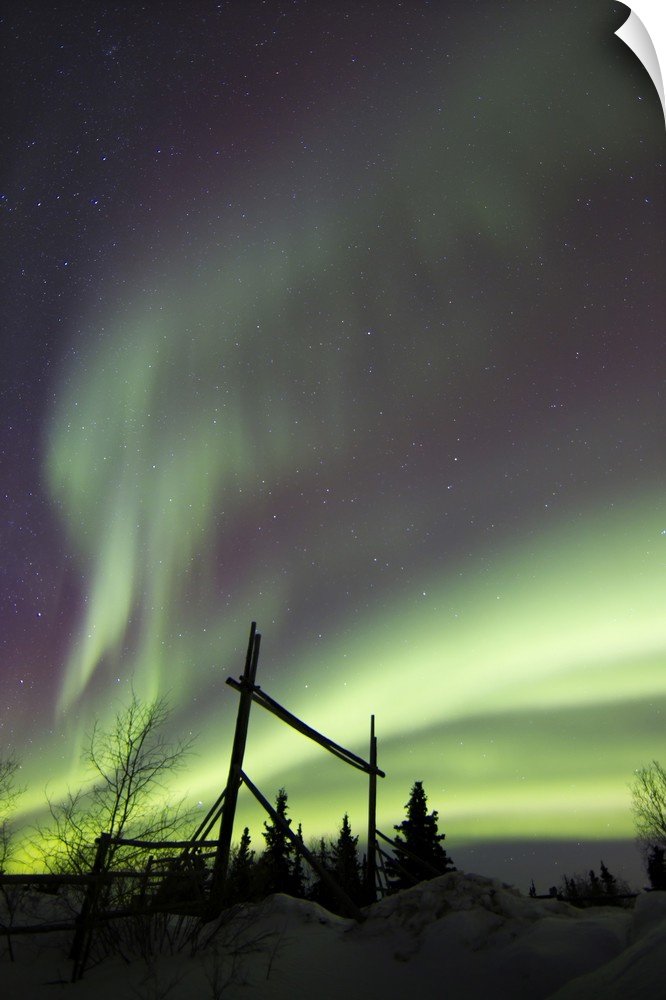 Aurora borealis over a ranch, Whitehorse, Yukon, Canada.