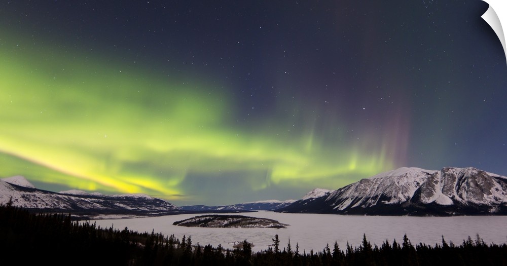 Aurora borealis over Bove Island, Windy Arm, Carcross, Yukon, Canada.