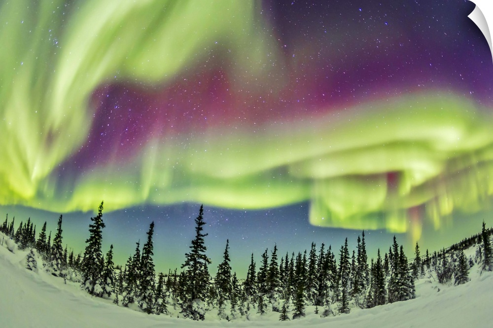 February 21, 2015 - Aurora borealis over Churchill, Manitoba, Canada.