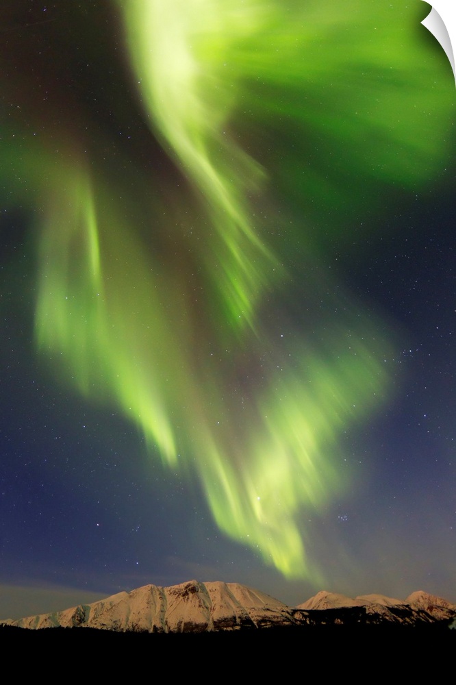 Aurora borealis over Emerald Lake, Carcross, Yukon, Canada.