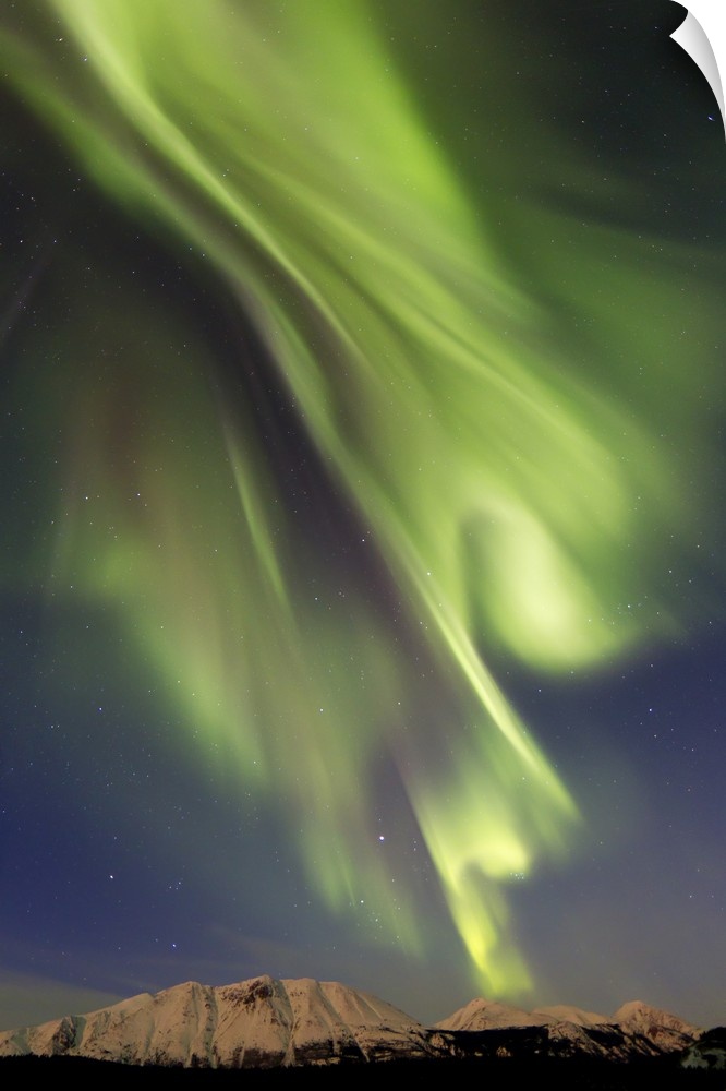 Aurora borealis over Emerald Lake, Carcross, Yukon, Canada.