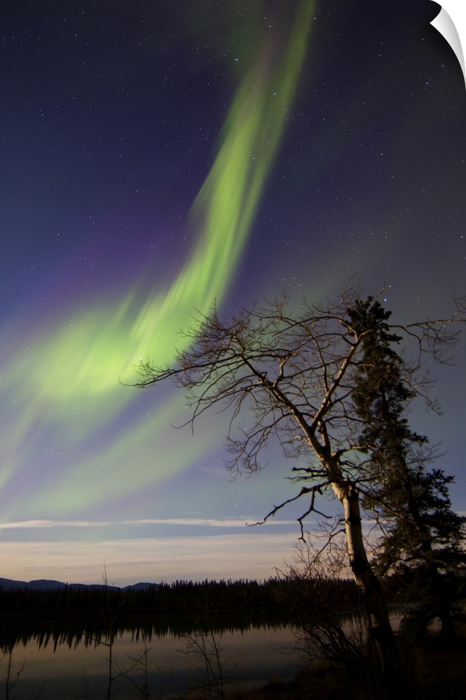 Aurora borealis over the Yukon River, Whitehorse, Yukon, Canada.
