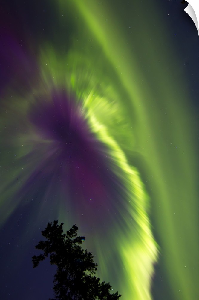 Aurora borealis, Whitehorse, Yukon, Canada.