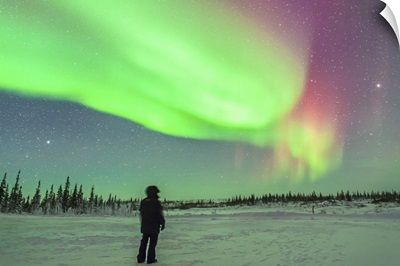 Aurora borealis with Vega and Arcturus stars over Churchill, Manitoba, Canada