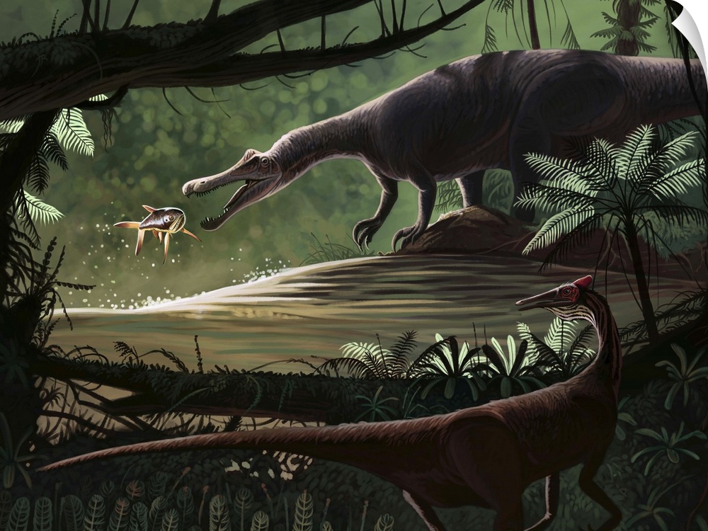 Baryonyx walkeri fishing on the migration of Catharus, while a Pelecanimimus polyodon prowls the opposite bank, in a river...