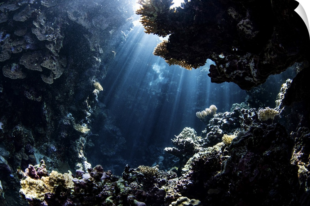 Beams from the sun illuminate underwater caverns, Red Sea.