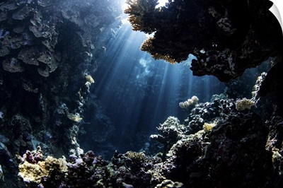 Beams From The Sun Illuminate Underwater Caverns, Red Sea