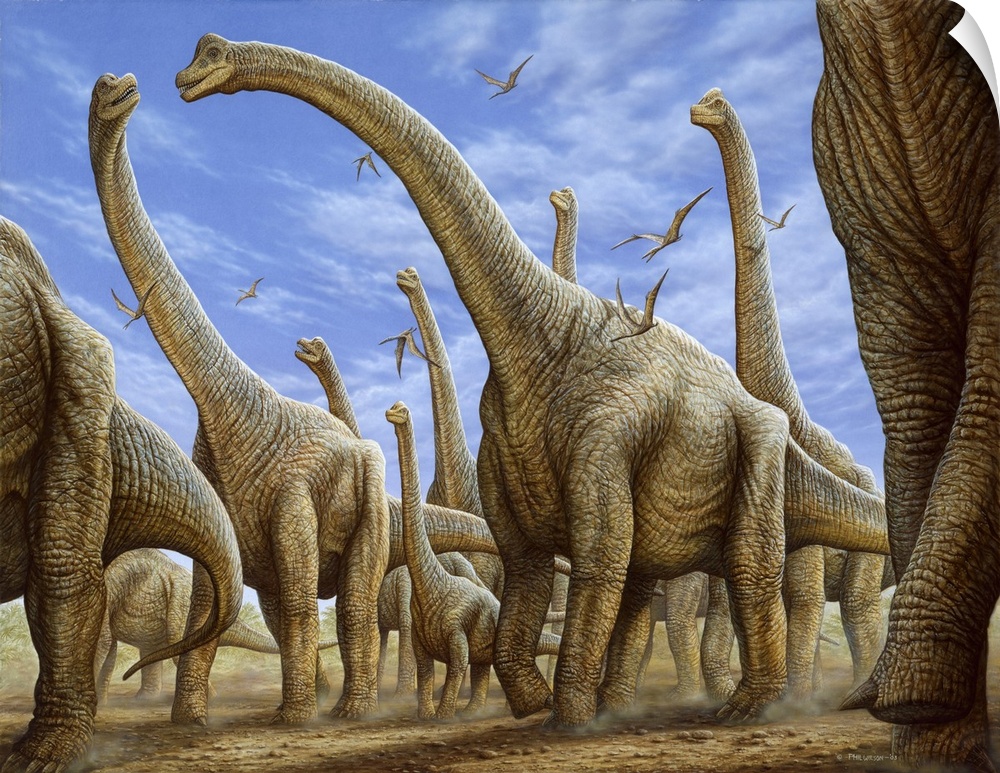 Brachiosaurus herd on the move.