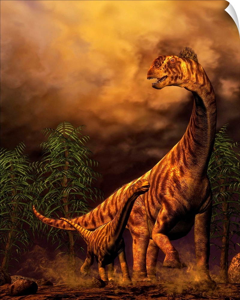Camarasaurus adult and offspring.