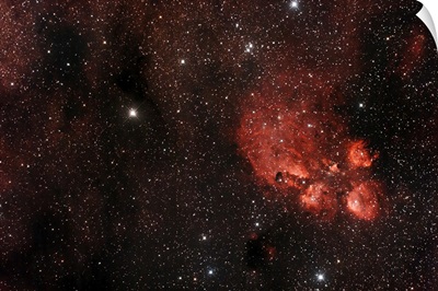 Cats Paw Nebula in Scorpius
