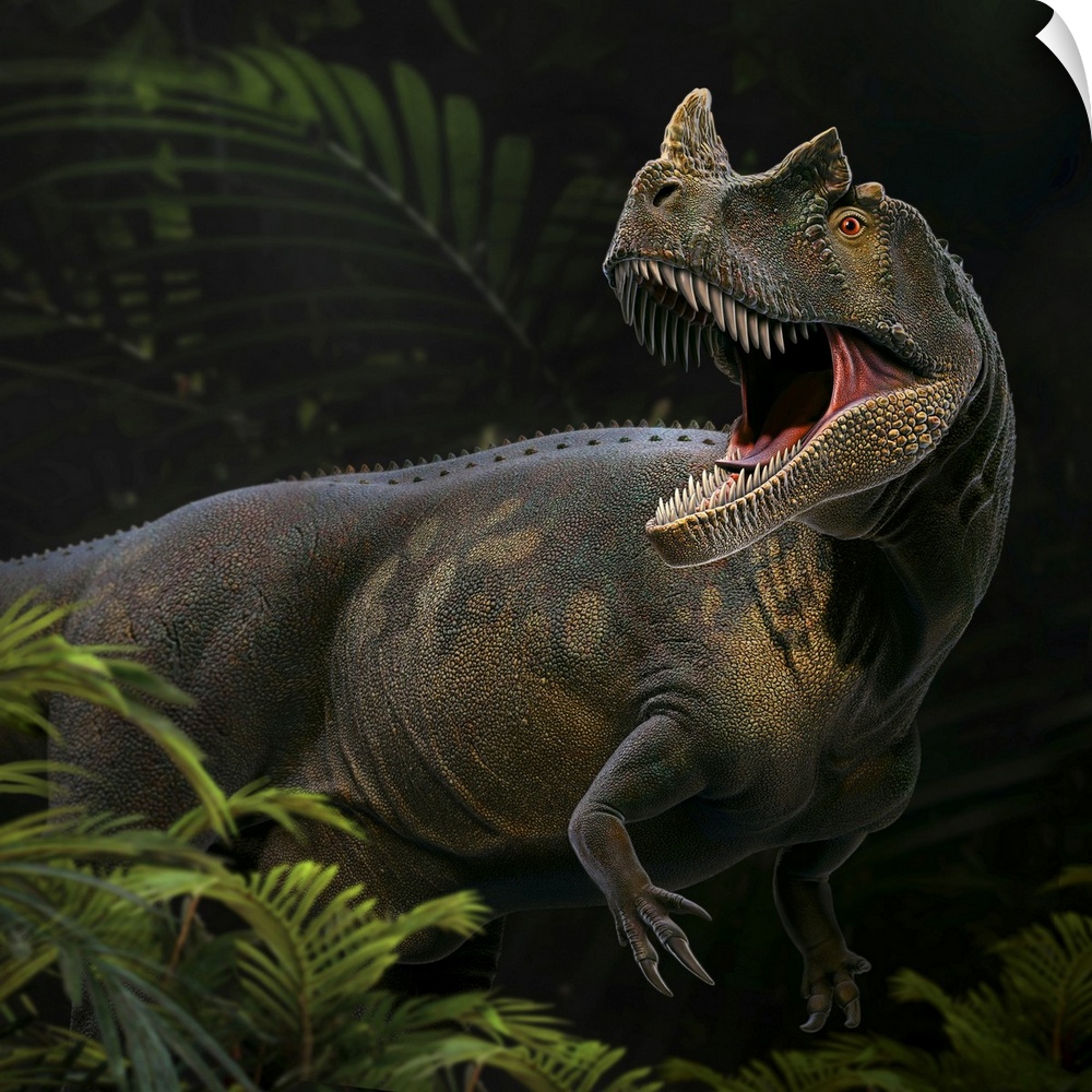 Ceratosaurus was a carnivorous theropod dinosaur in the Late Jurassic period.