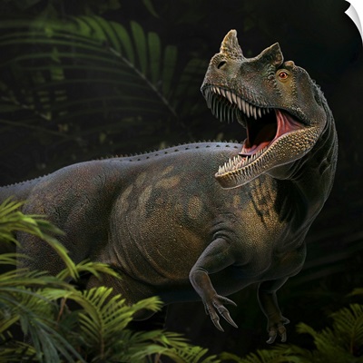Ceratosaurus Was A Carnivorous Theropod Dinosaur In The Late Jurassic Period