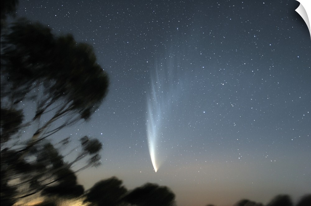Comet McNaught P1 in the sky over Victoria, Australia.