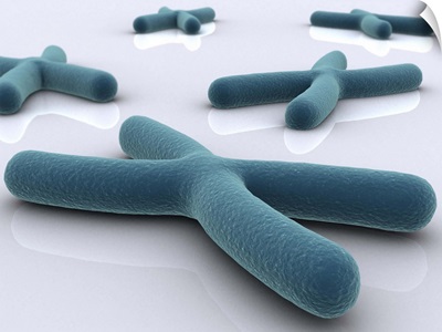 Conceptual image of chromosome