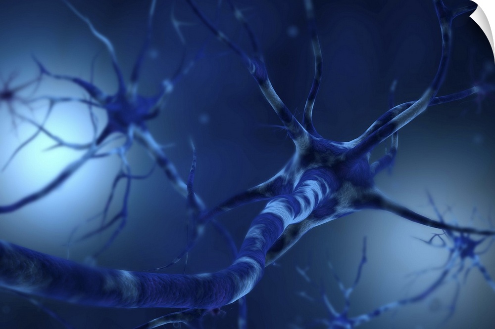 Conceptual image of neuron.