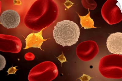 Conceptual image of platelets with red blood cells