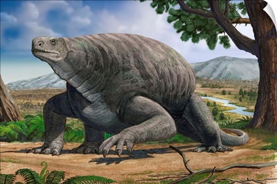 Cotylorhynchus bransoni, a prehistoric animal from the Paleozoic Era