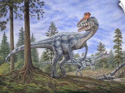 Cryolophosaurus Dinosaurs Hunting For Prey In A Prehistoric Environment