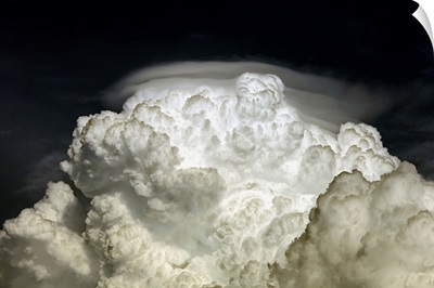 Cumulus Congestus cloud with Pileus