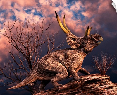 Diabloceratops was a ceratopsian dinosaur from the Cretaceous Period
