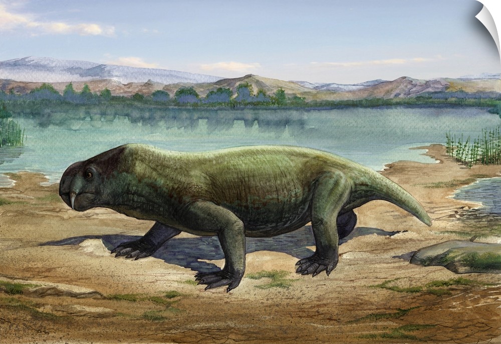 Dicynodon trautscholdi, a prehistoric animal from the Paleozoic Era.