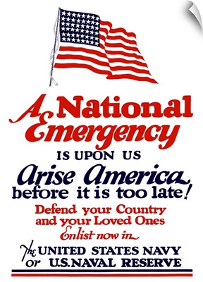Digitally restored vector war propaganda poster.  A national emergency is upon us