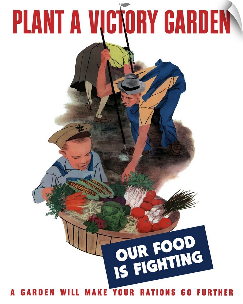 Digitally restored vector war propaganda poster. This vintage World War II poster features a family working in the garden....
