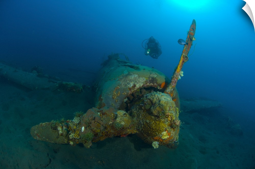 Diver explores the wreck of a Mitsubishi Zero fighter plane.