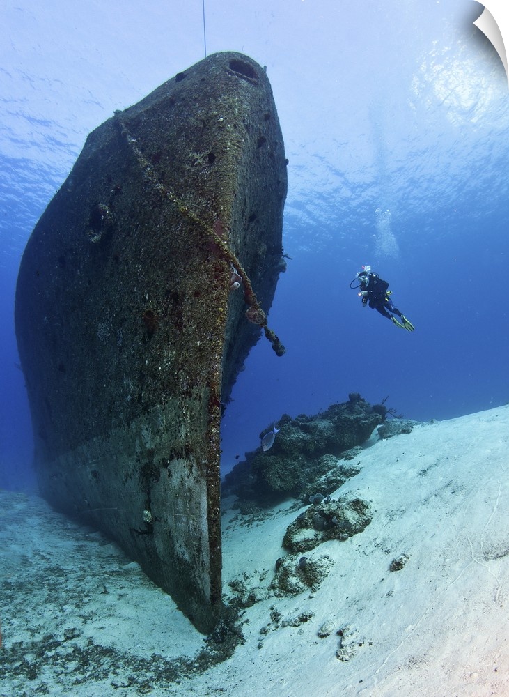 Diver exploring the ARM General Felipe Xicotencatl (C53) shipwreck in Cozumel, Mexico.