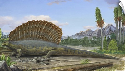 Edaphosaurus pogonias, a prehistoric animal from the Paleozoic Era