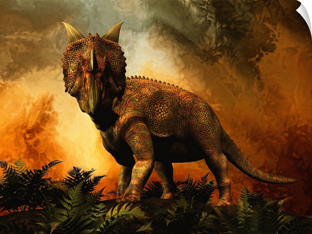 Einiosaurus was a ceratopsian dinosaur from the Upper Cretaceous period.