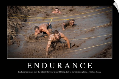 Endurance: Inspirational Quote and Motivational Poster