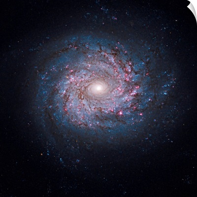 Face on spiral galaxy NGC 3982