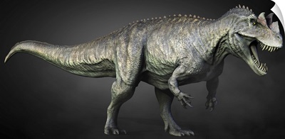 Full Length View Of A Ceratosaurus Dinosaur