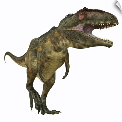 Giganotosaurus dinosaur