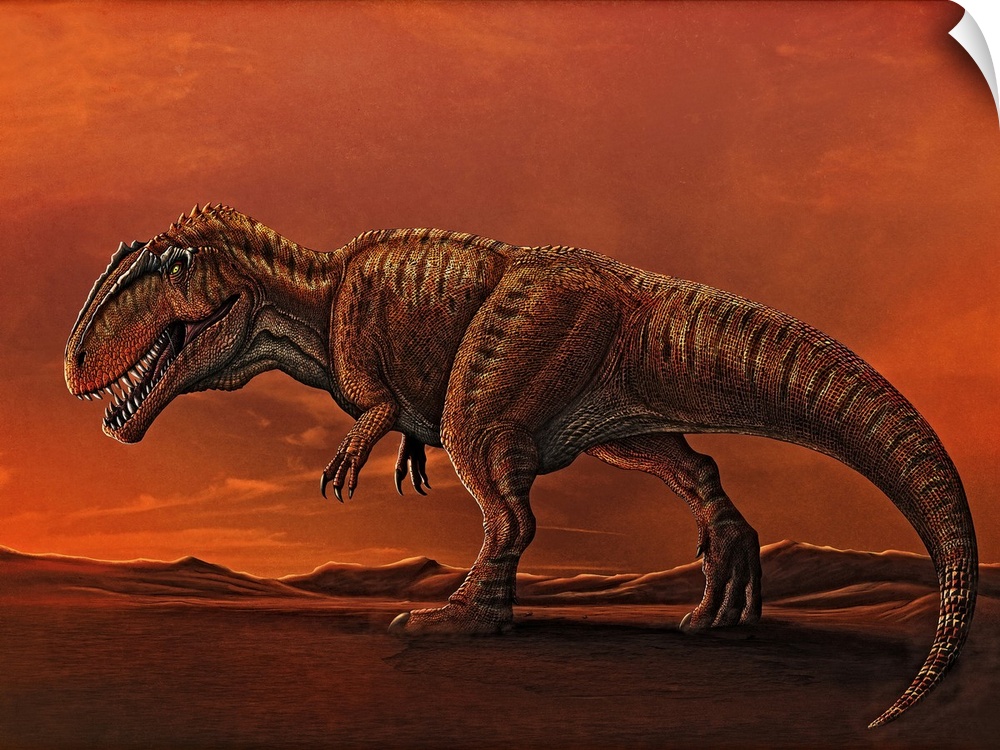 Giganotosaurus walking in the desert of Patagonia.