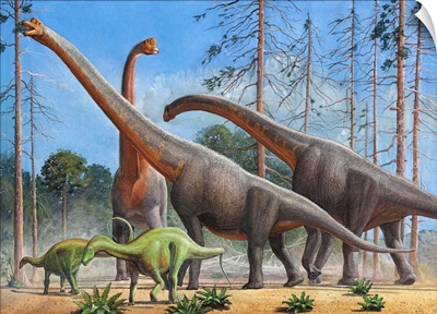 Giraffatitan and Dicraeosaurus dinosaurs grazing in a prehistoric environment