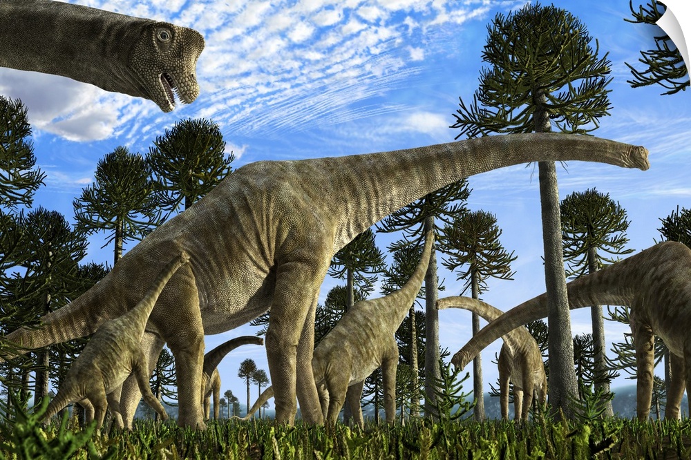 Giraffatitan brancai dinosaurs grazing in a Jurassic environment.
