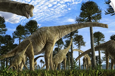Giraffatitan brancai dinosaurs grazing in a Jurassic environment