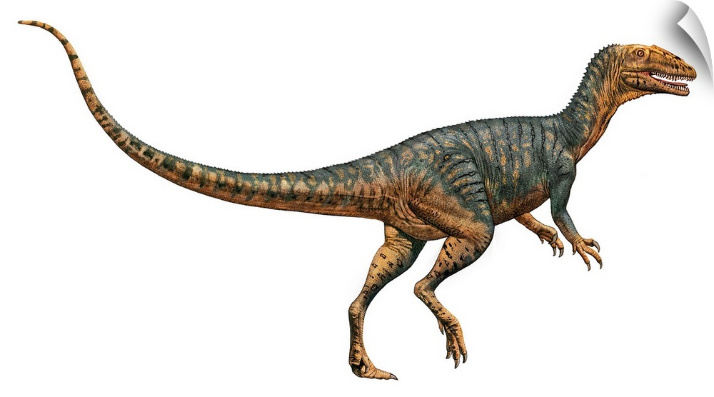 Gojirasaurus dinosaur.